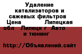 Удаление катализаторов и сажевых фильтров › Цена ­ 1 500 - Липецкая обл., Липецк г. Авто » GT и тюнинг   